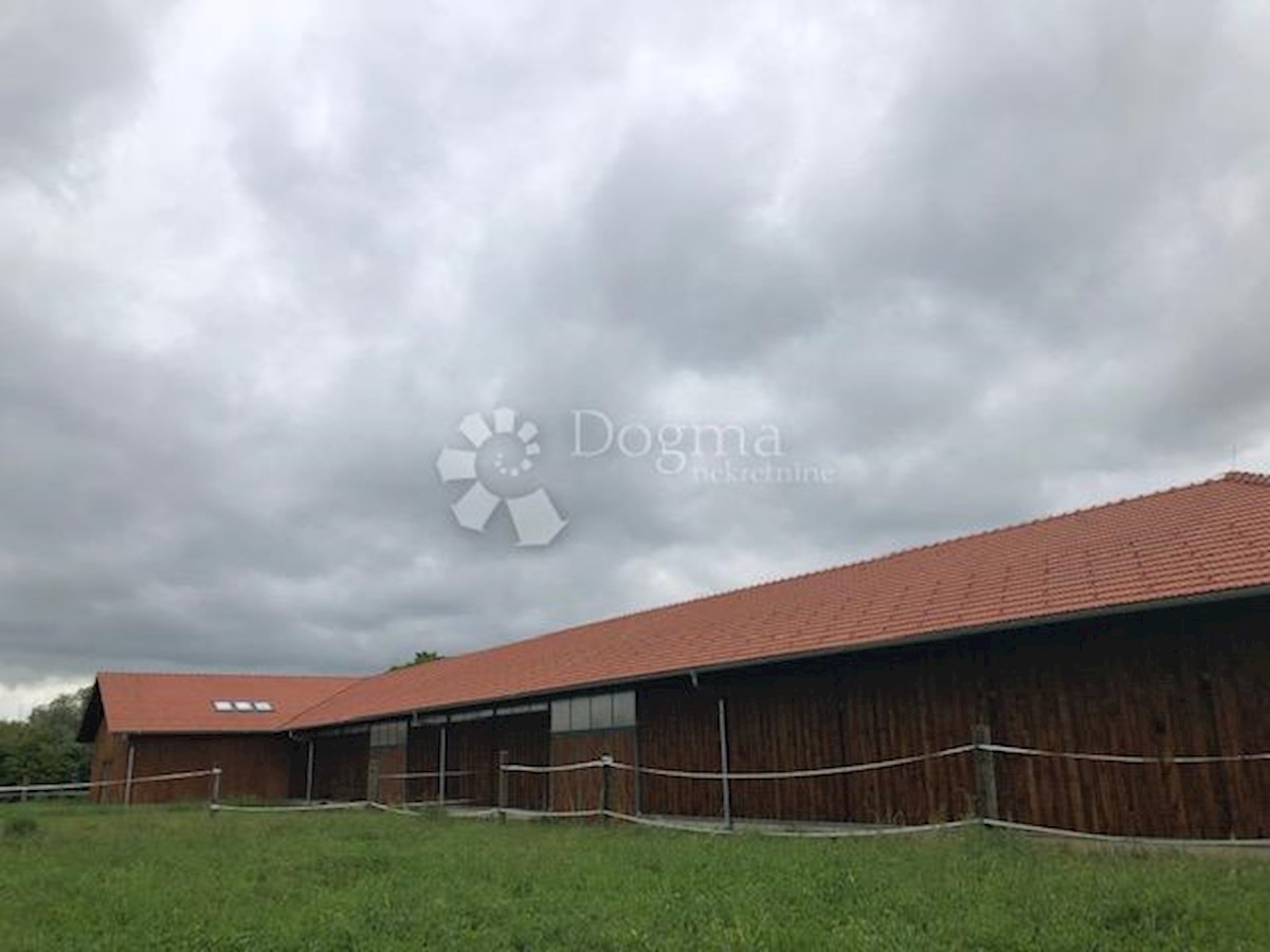 Terreno Habjanovac, Dubrava, 84.000m2