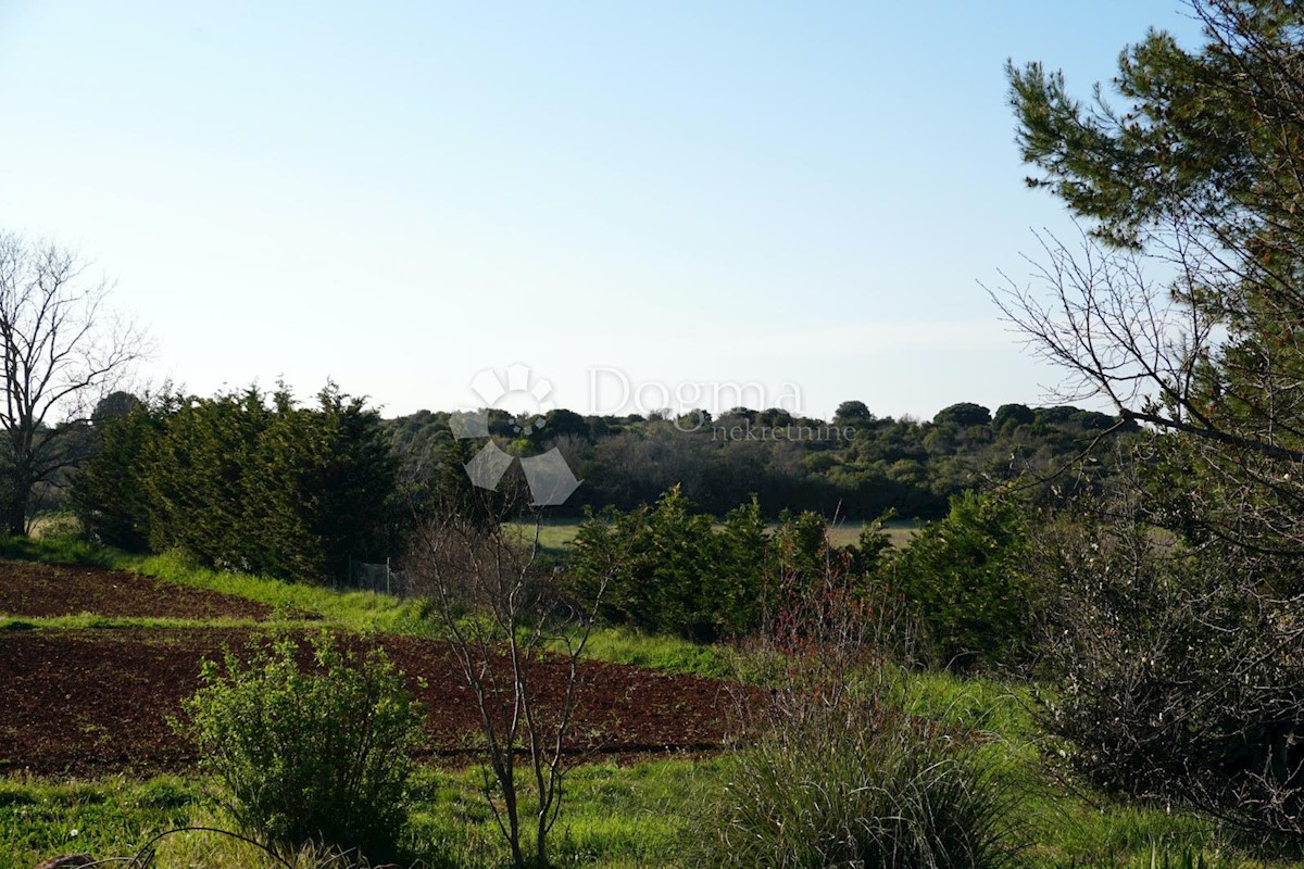 Terreno Štinjan, Pula, 3.300m2