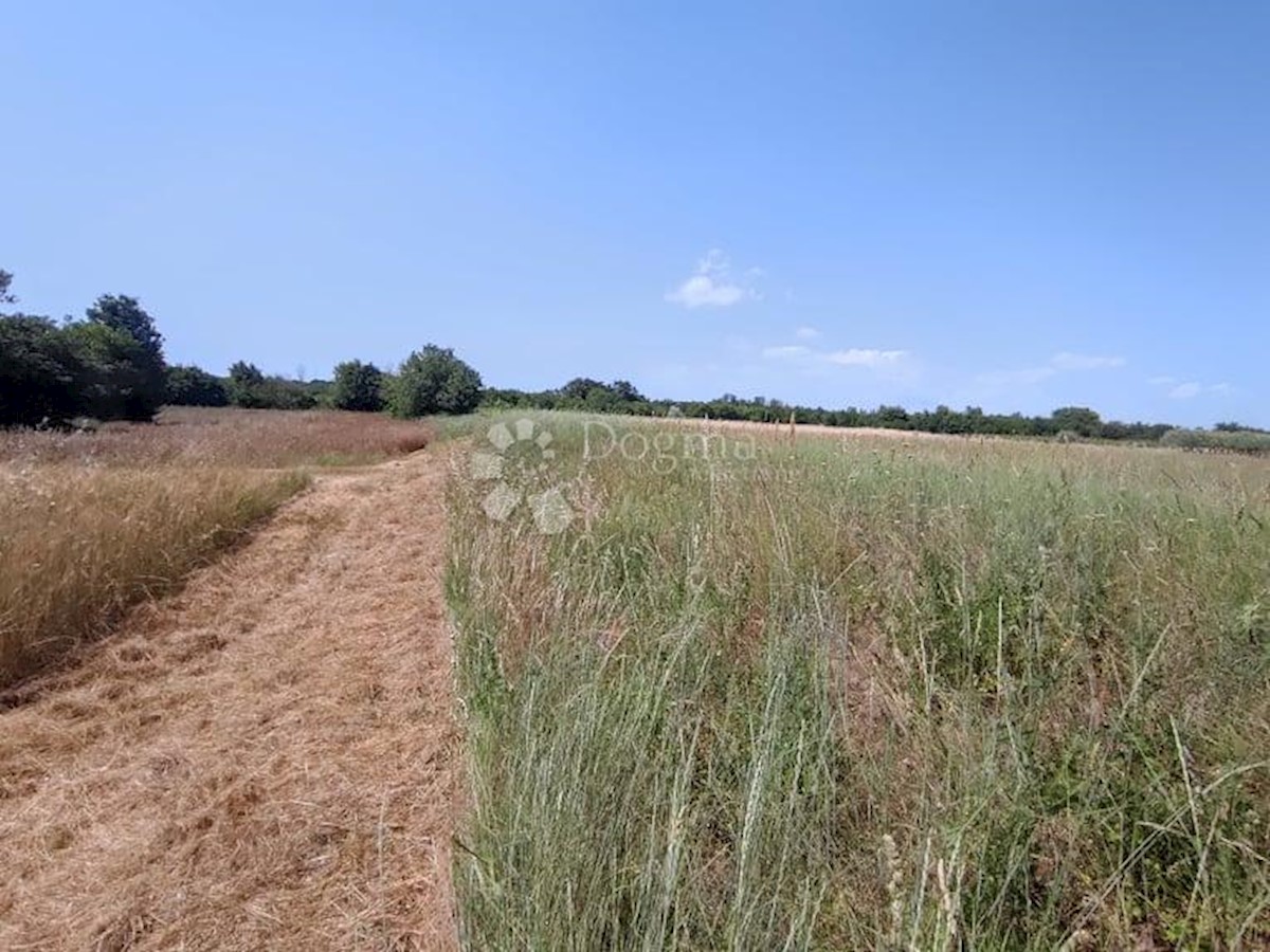 Terreno Marčana, 4.870m2