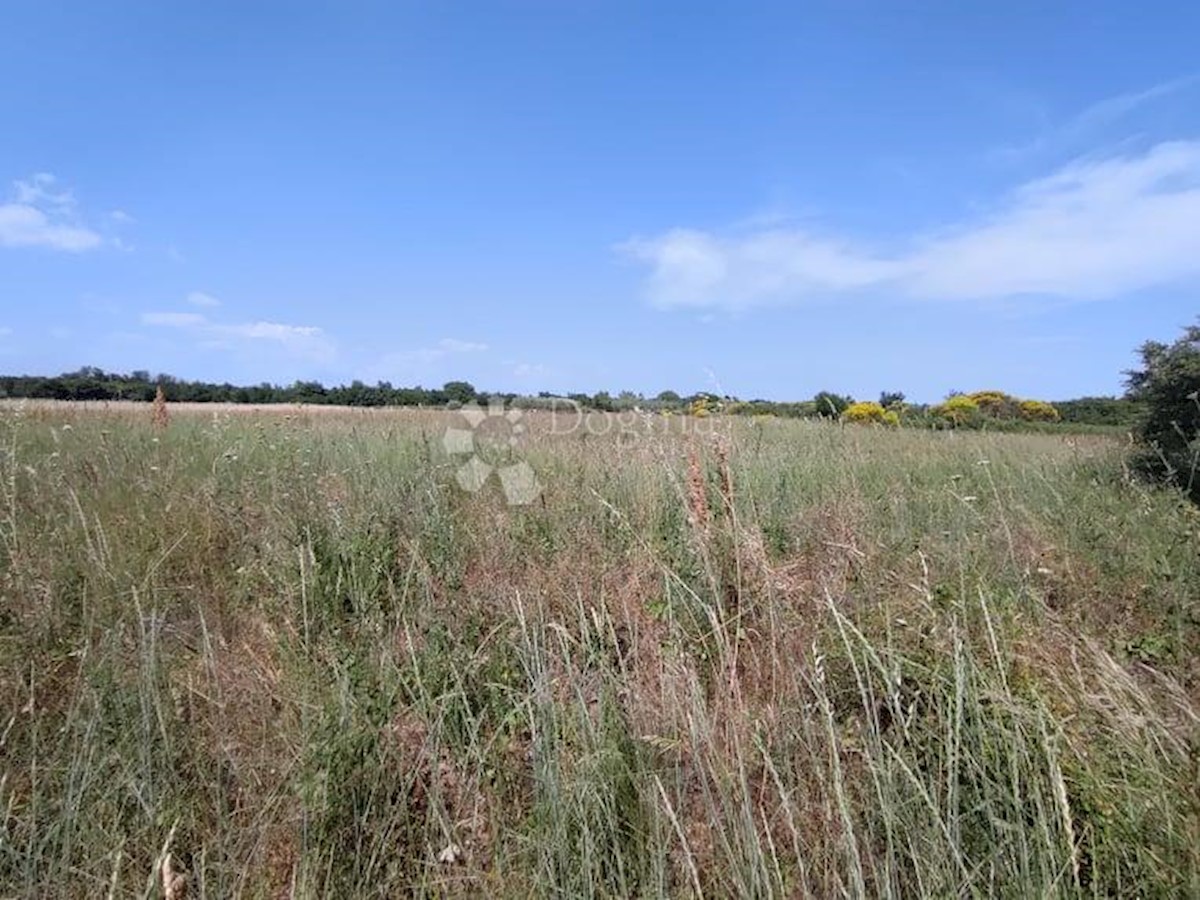 Terreno Marčana, 4.870m2