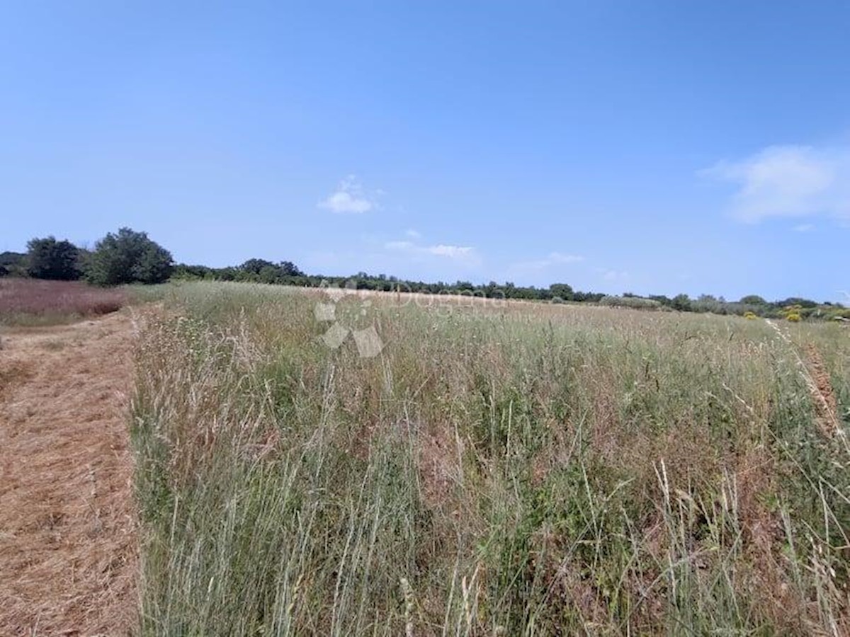 Terreno Marčana, 4.870m2