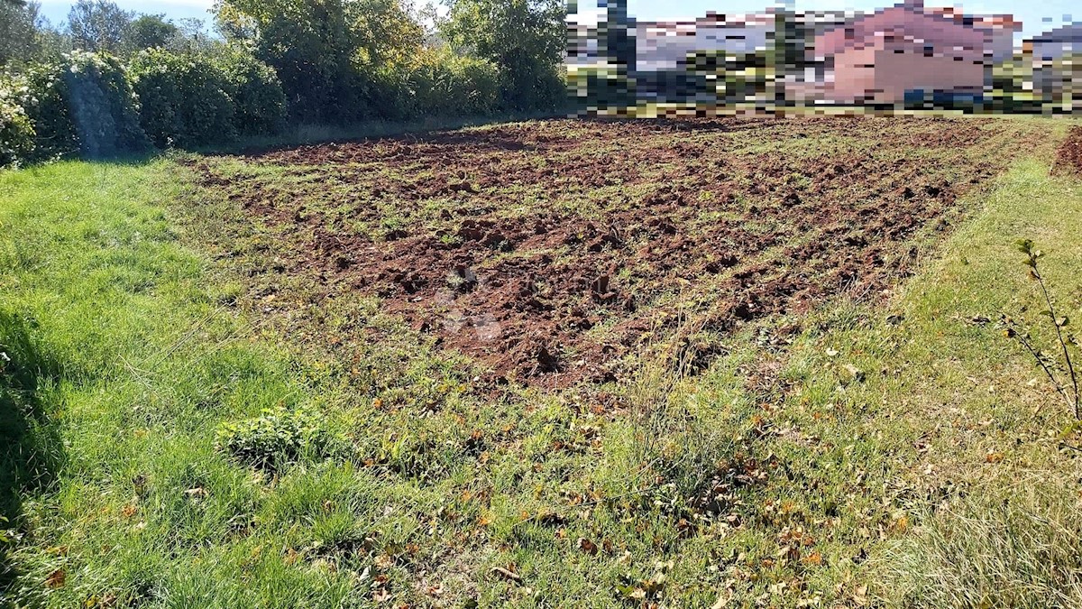 Terreno Kujići, Marčana, 950m2