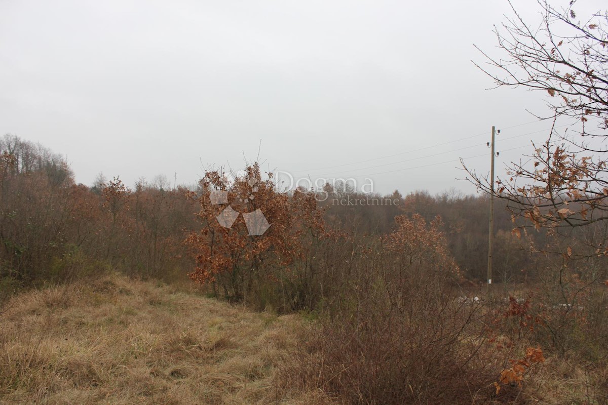 Terreno Juršići, Svetvinčenat, 3.230m2