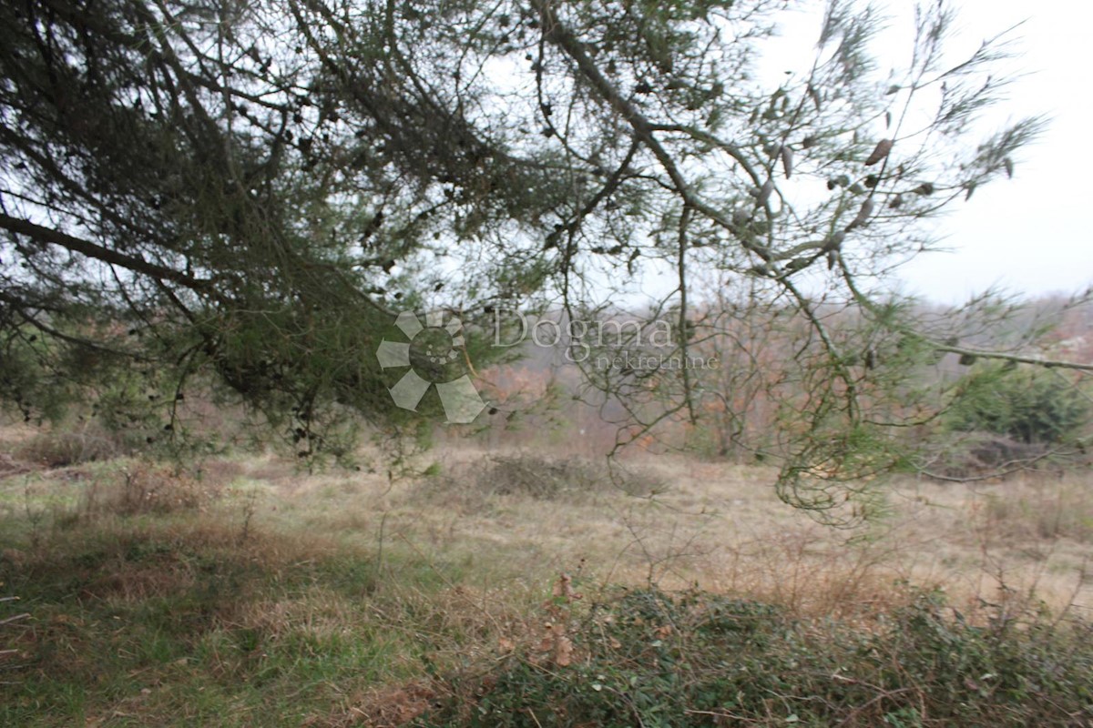 Terreno Juršići, Svetvinčenat, 3.230m2