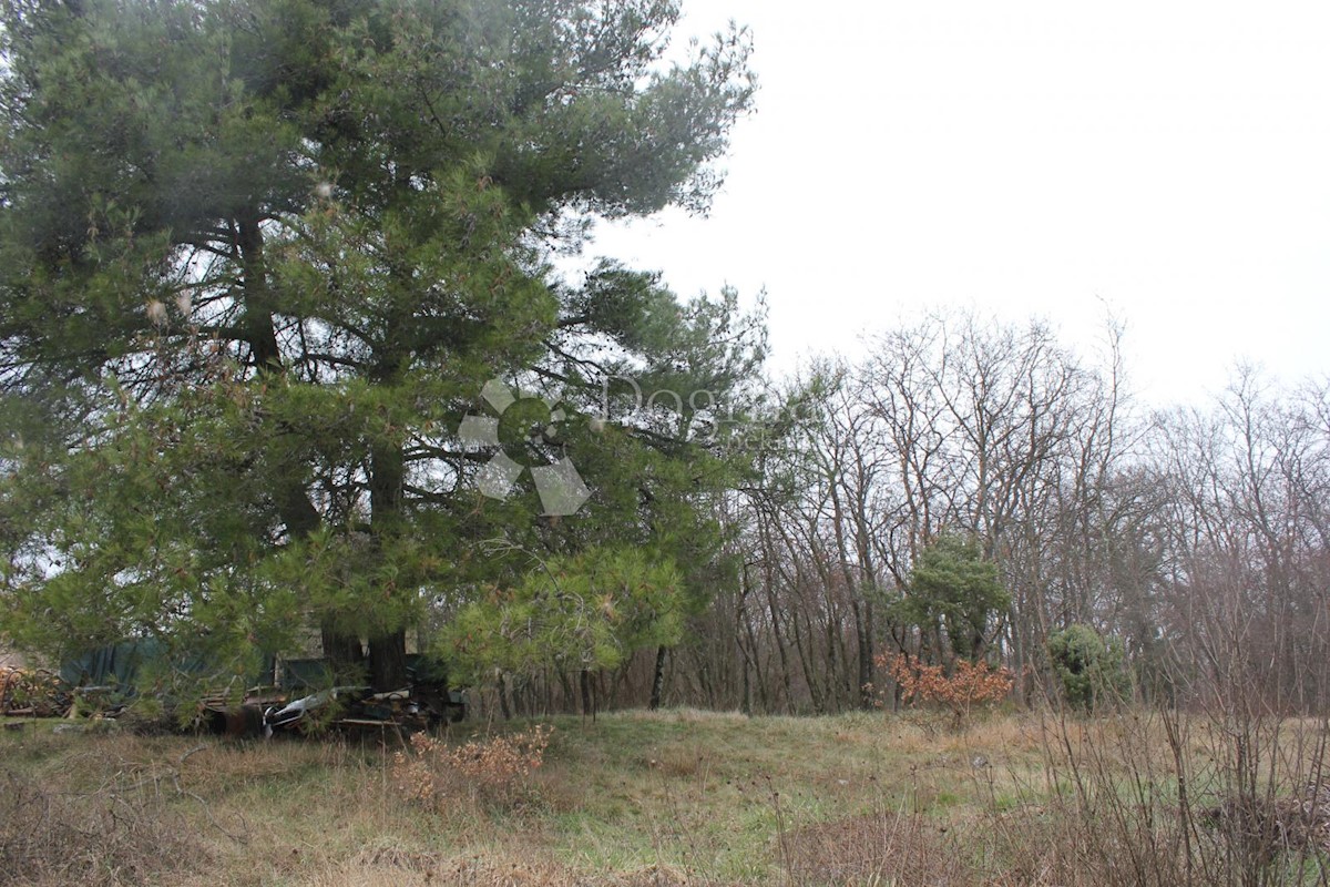 Terreno Juršići, Svetvinčenat, 3.230m2