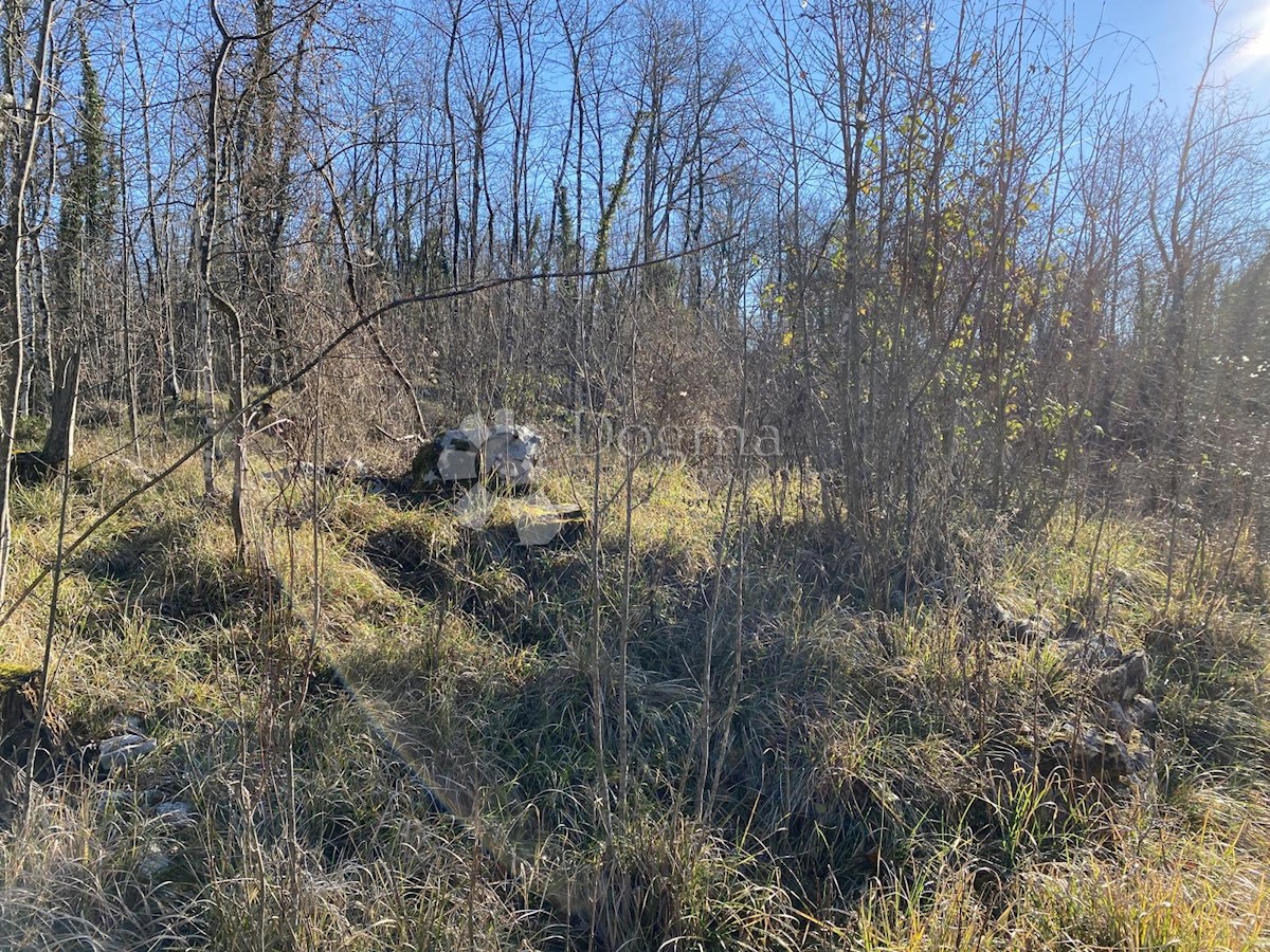 Terreno Mučići, Matulji, 3.129m2