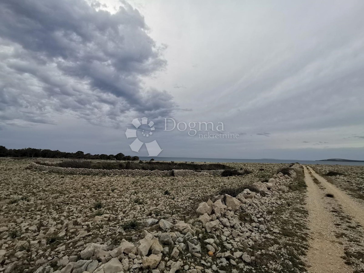 Terreno Povljana, 3.200m2
