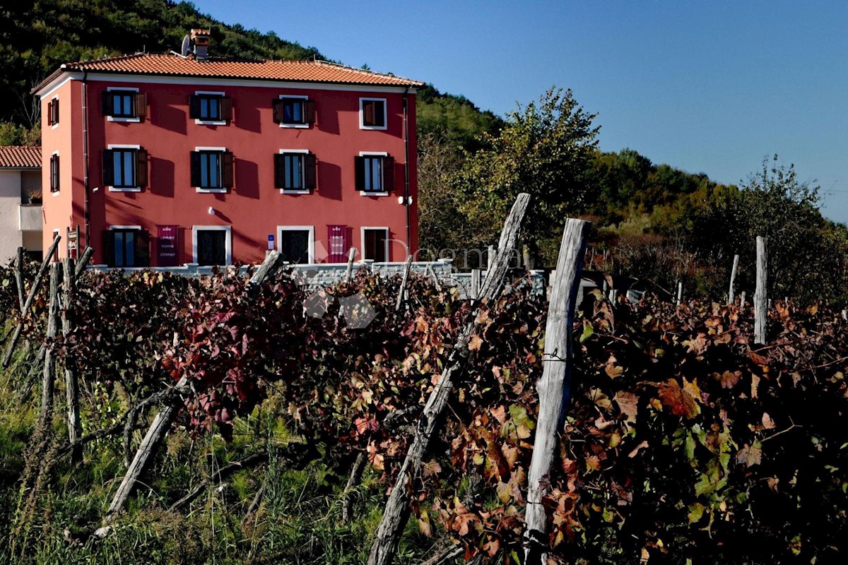 Casa Motovun, 390m2