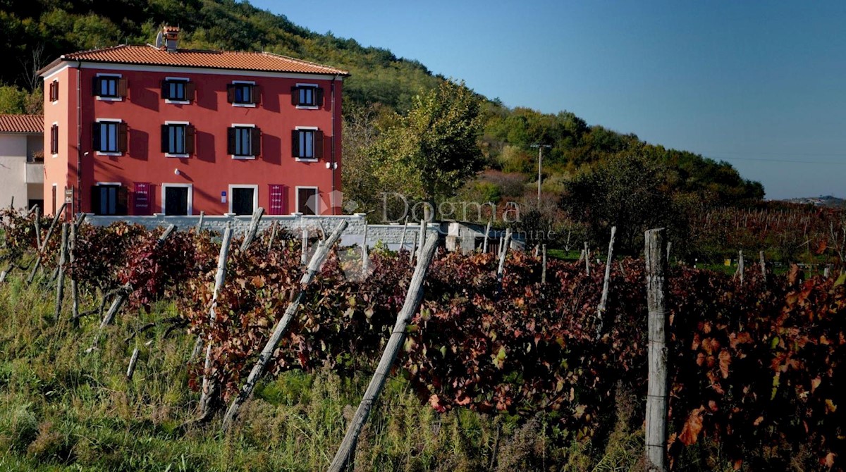 Casa Motovun, 390m2