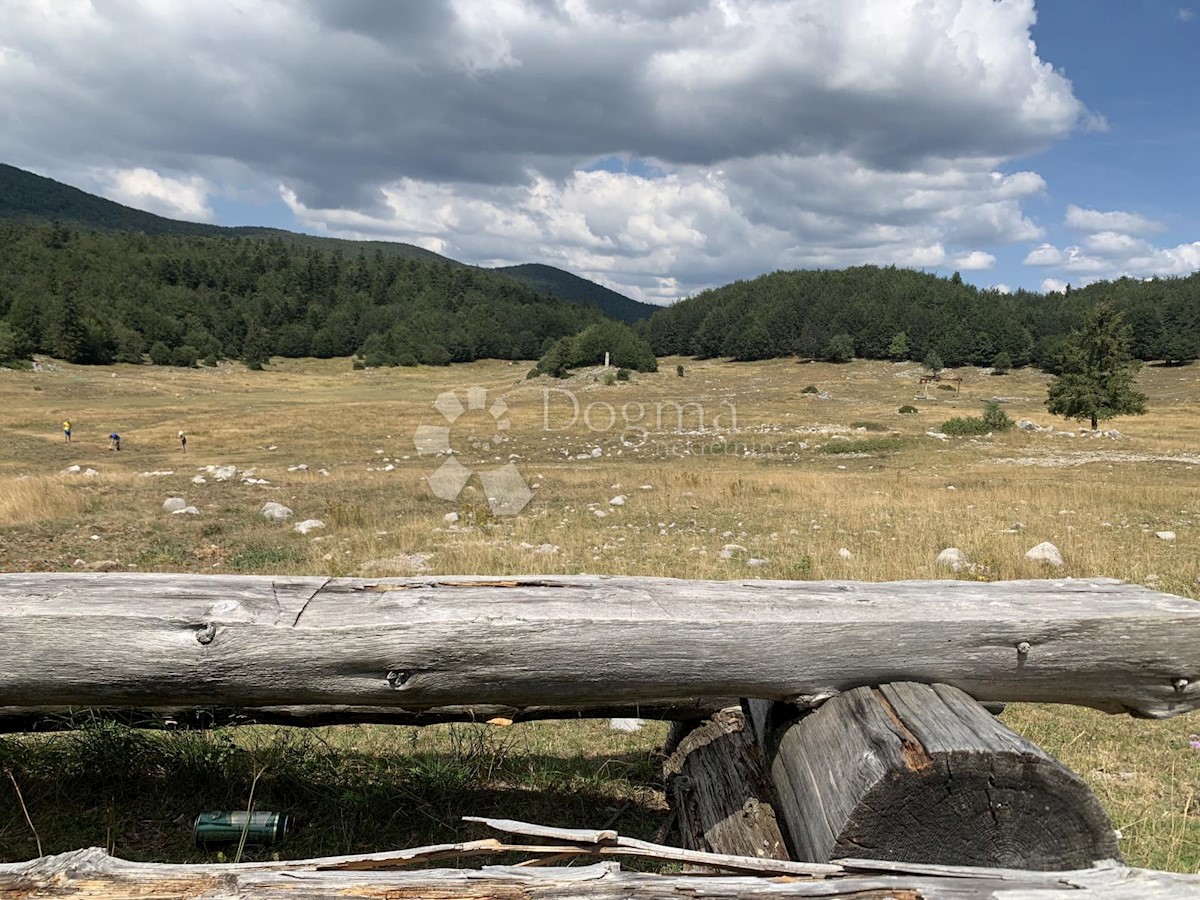 Terreno Platak, Čavle, 11.317m2
