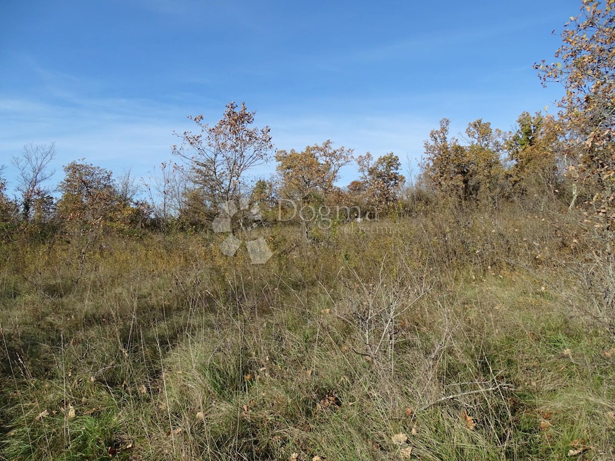 Terreno Završje, Grožnjan, 1.186m2