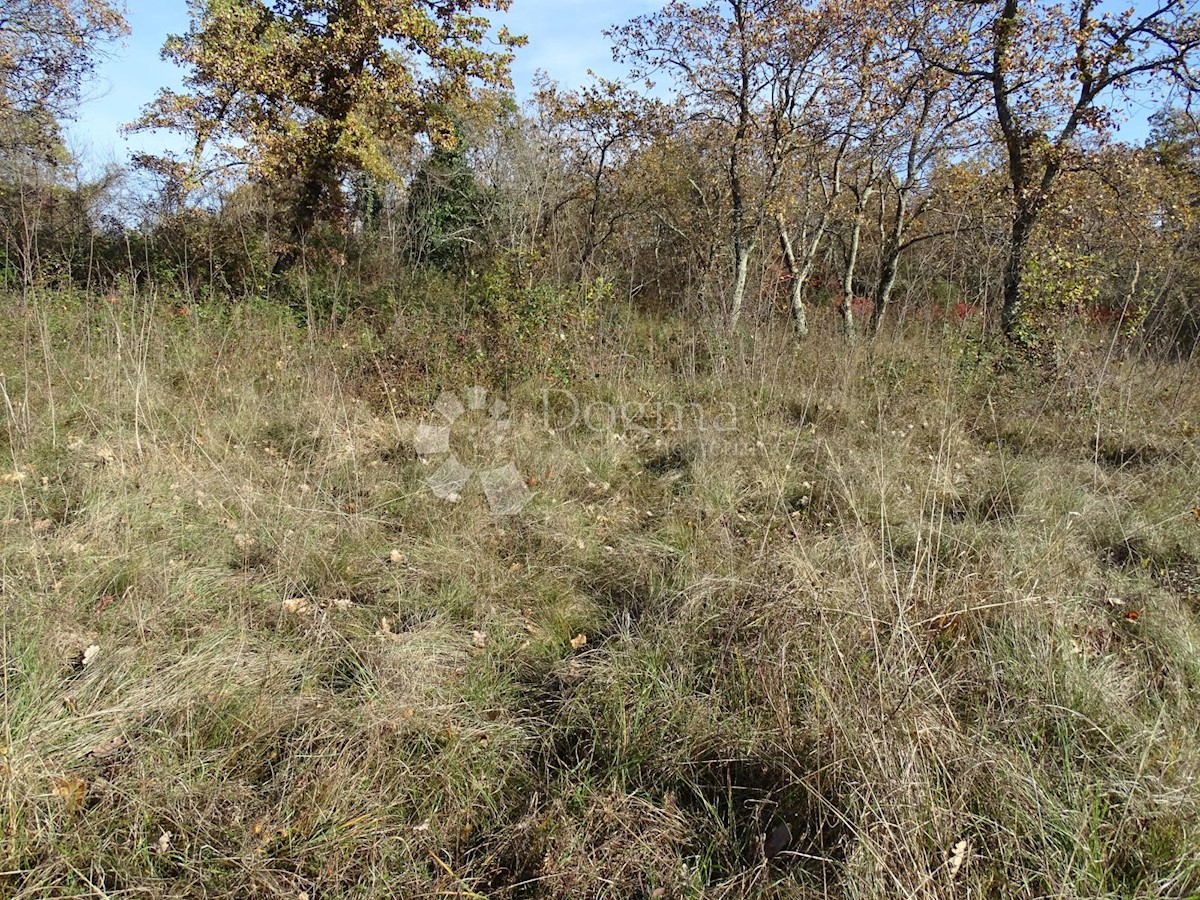 Terreno Završje, Grožnjan, 1.186m2