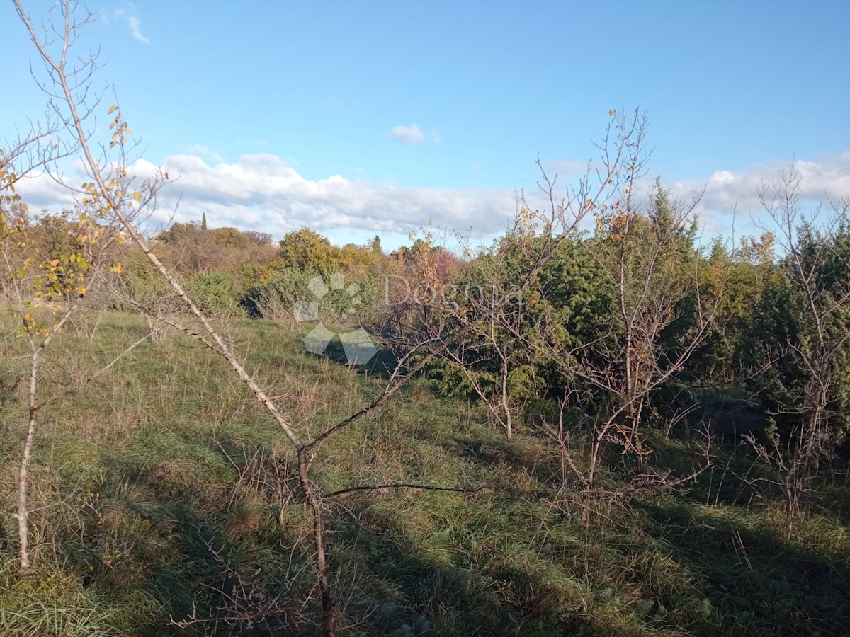 Terreno Rakalj, Marčana, 5.028m2
