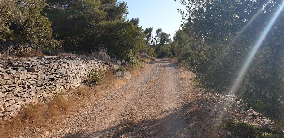 Terreno Vela Luka, 476m2