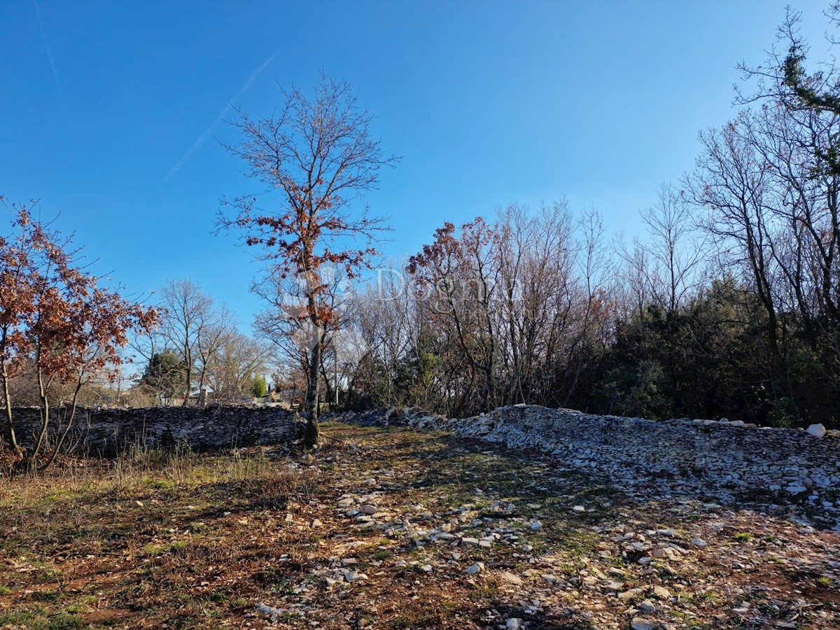 Terreno Juršići, Svetvinčenat, 6.495m2