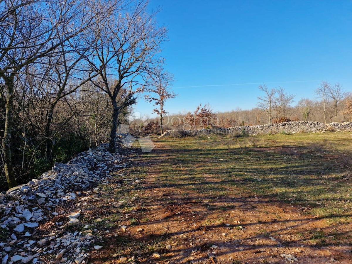 Terreno Juršići, Svetvinčenat, 6.495m2