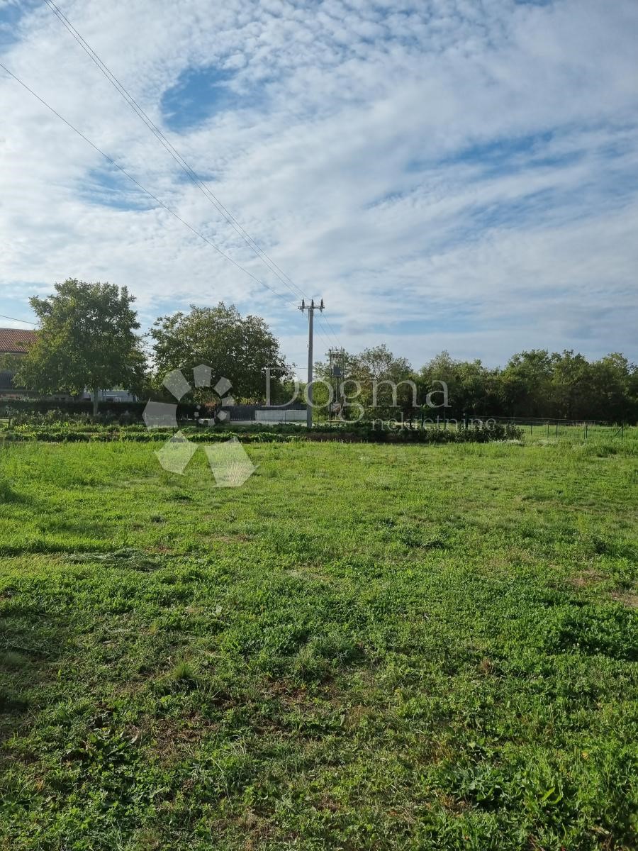 Terreno Zabrežani, Pazin - Okolica, 4.305m2