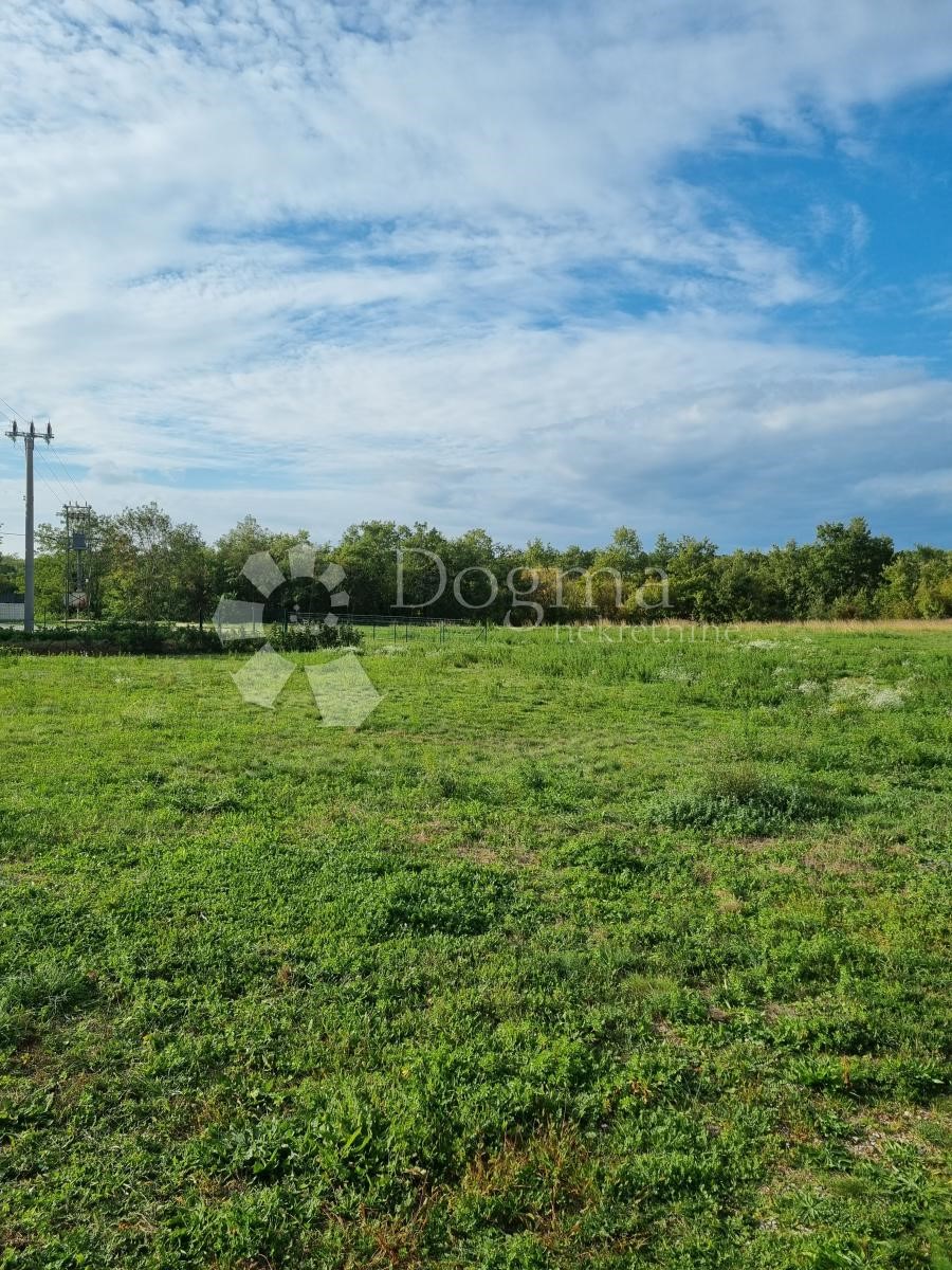 Terreno Zabrežani, Pazin - Okolica, 4.305m2