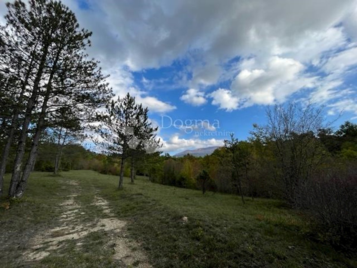 Terreno Boljun, Lupoglav, 41.433m2