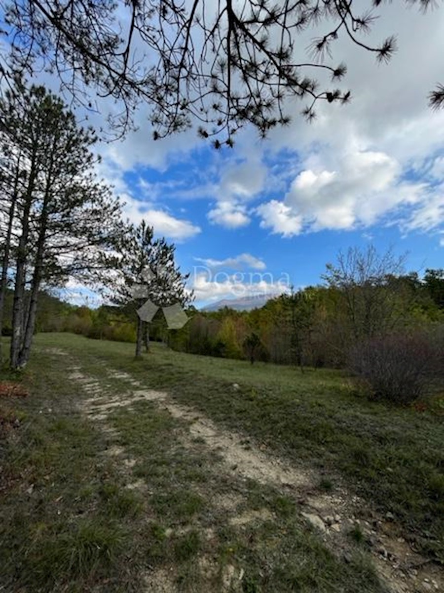 Terreno Boljun, Lupoglav, 41.433m2