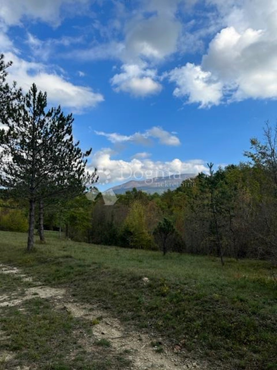 Terreno Boljun, Lupoglav, 41.433m2