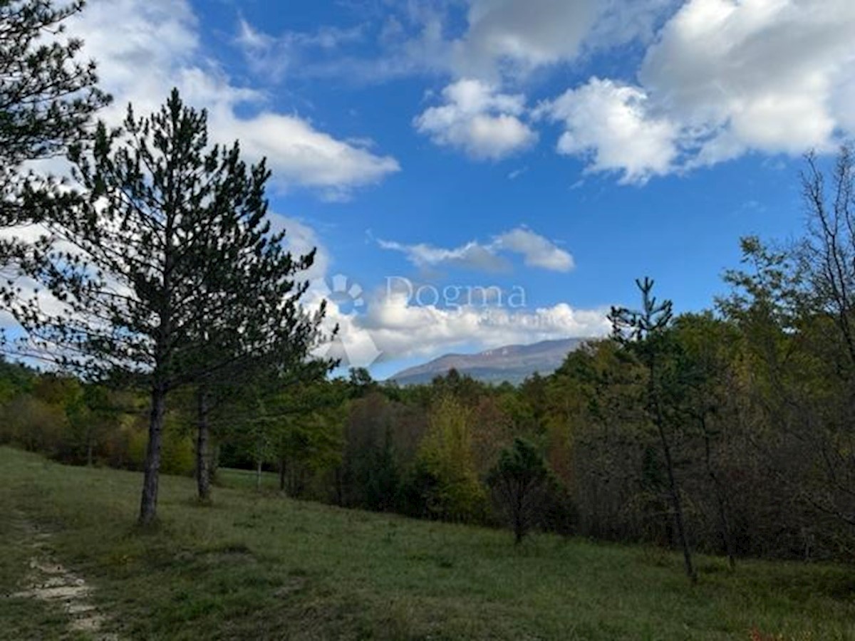 Terreno Boljun, Lupoglav, 41.433m2