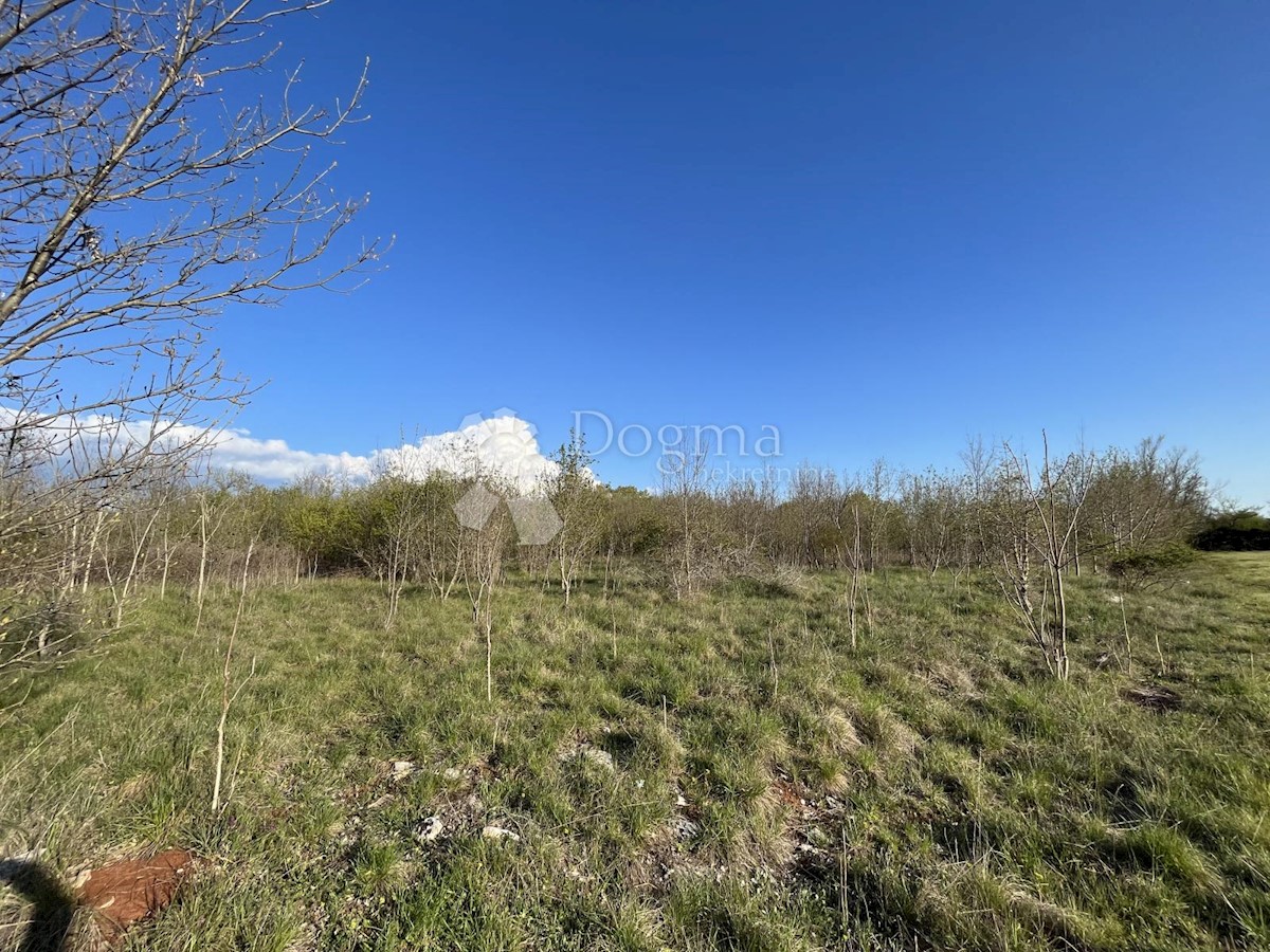 Terreno in zona industriale