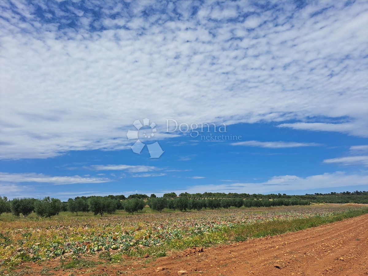 Terreno Pomer, Medulin, 25.000m2