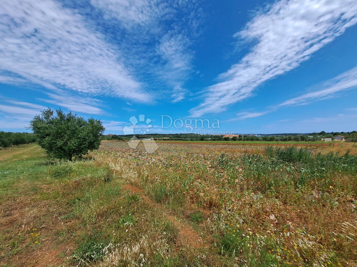 Terreno Pomer, Medulin, 25.000m2