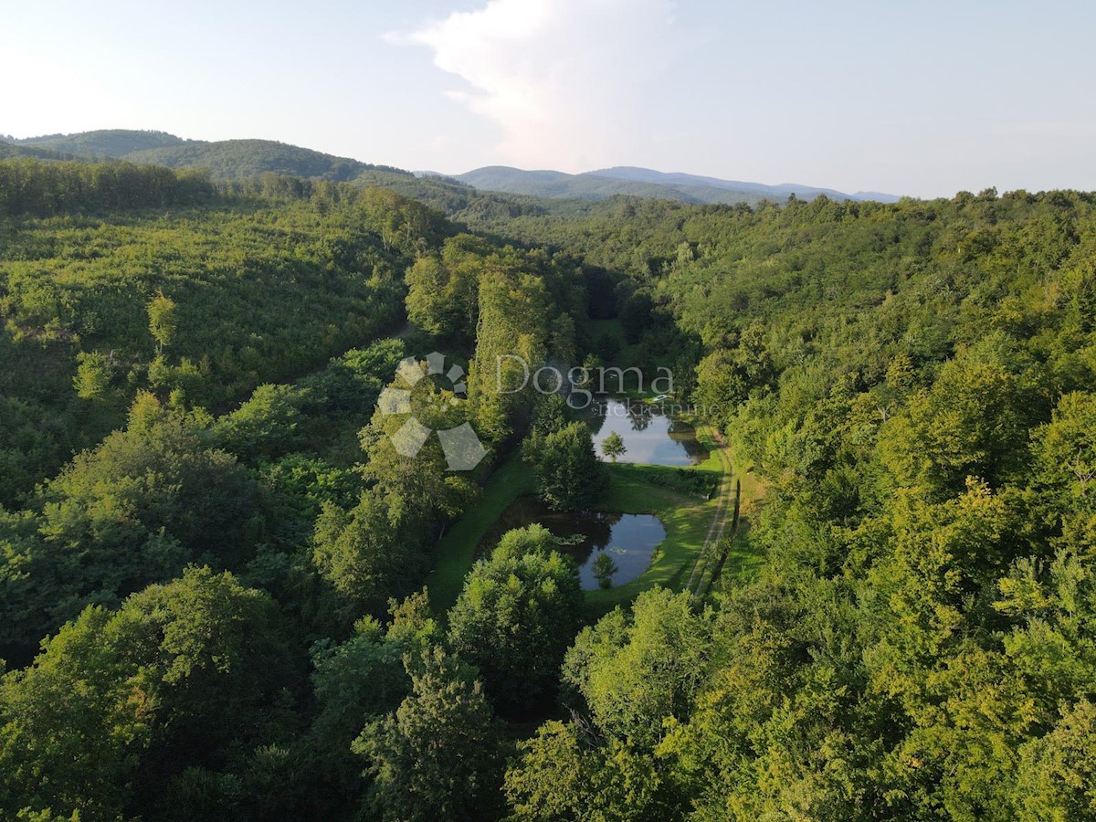 Terreno Šumetlica, Cernik, 8.200m2