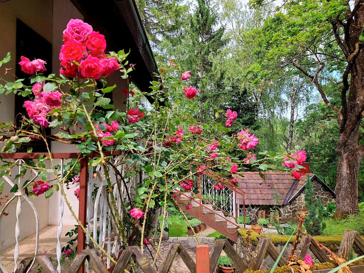 Casa Radovanci, Velika, 120m2