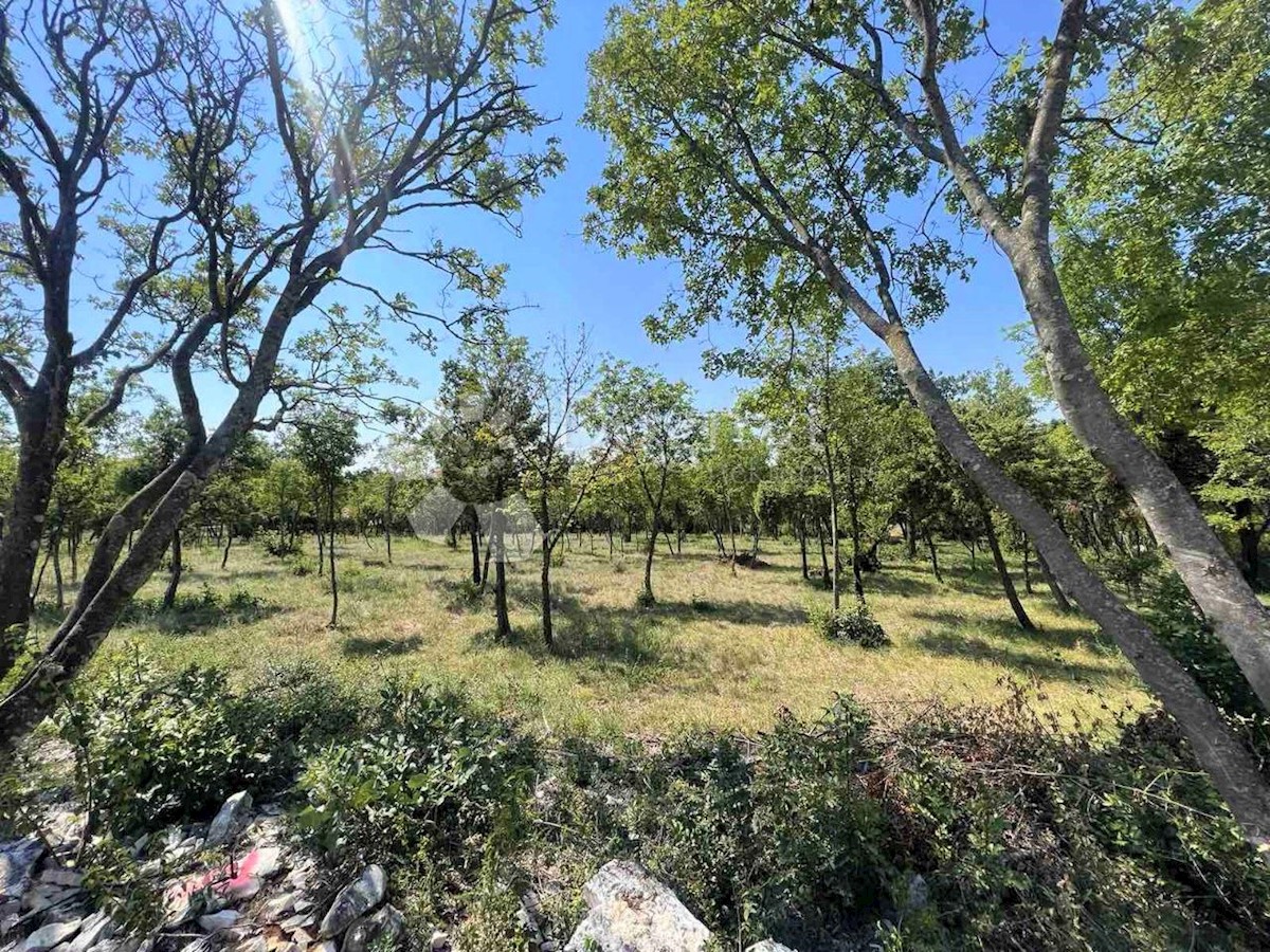 Terreno Barban, 1.246m2