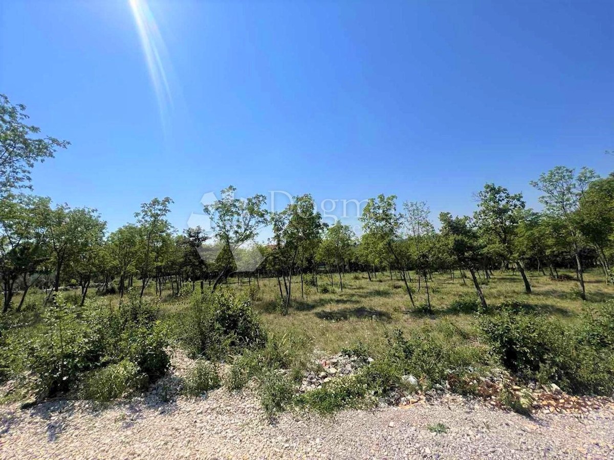 Terreno Barban, 1.246m2