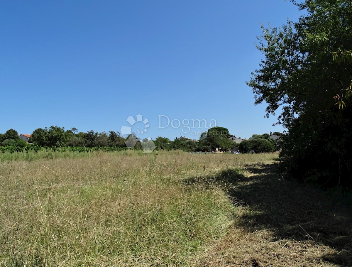 Terreno Kaštelir, Kaštelir-Labinci, 1.429m2