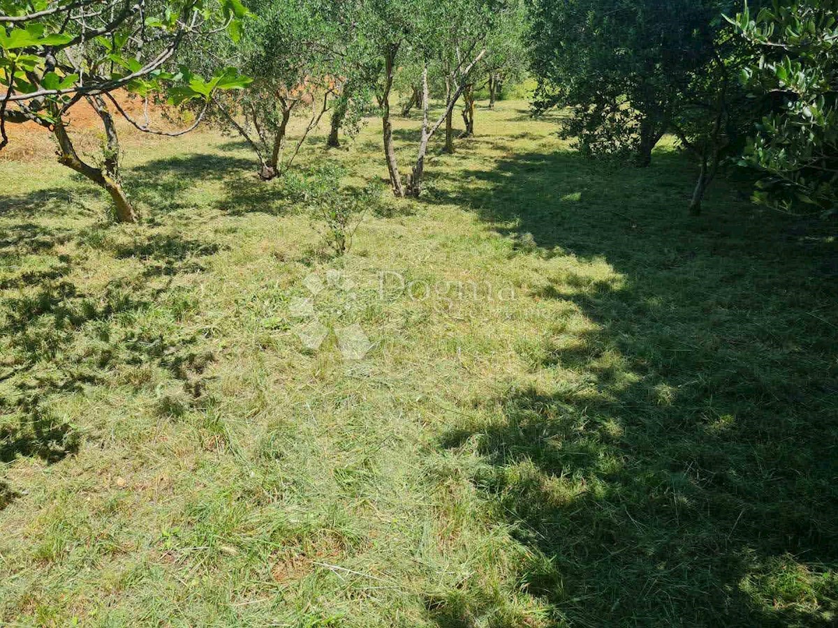 Terreno Posedarje, 1.103m2