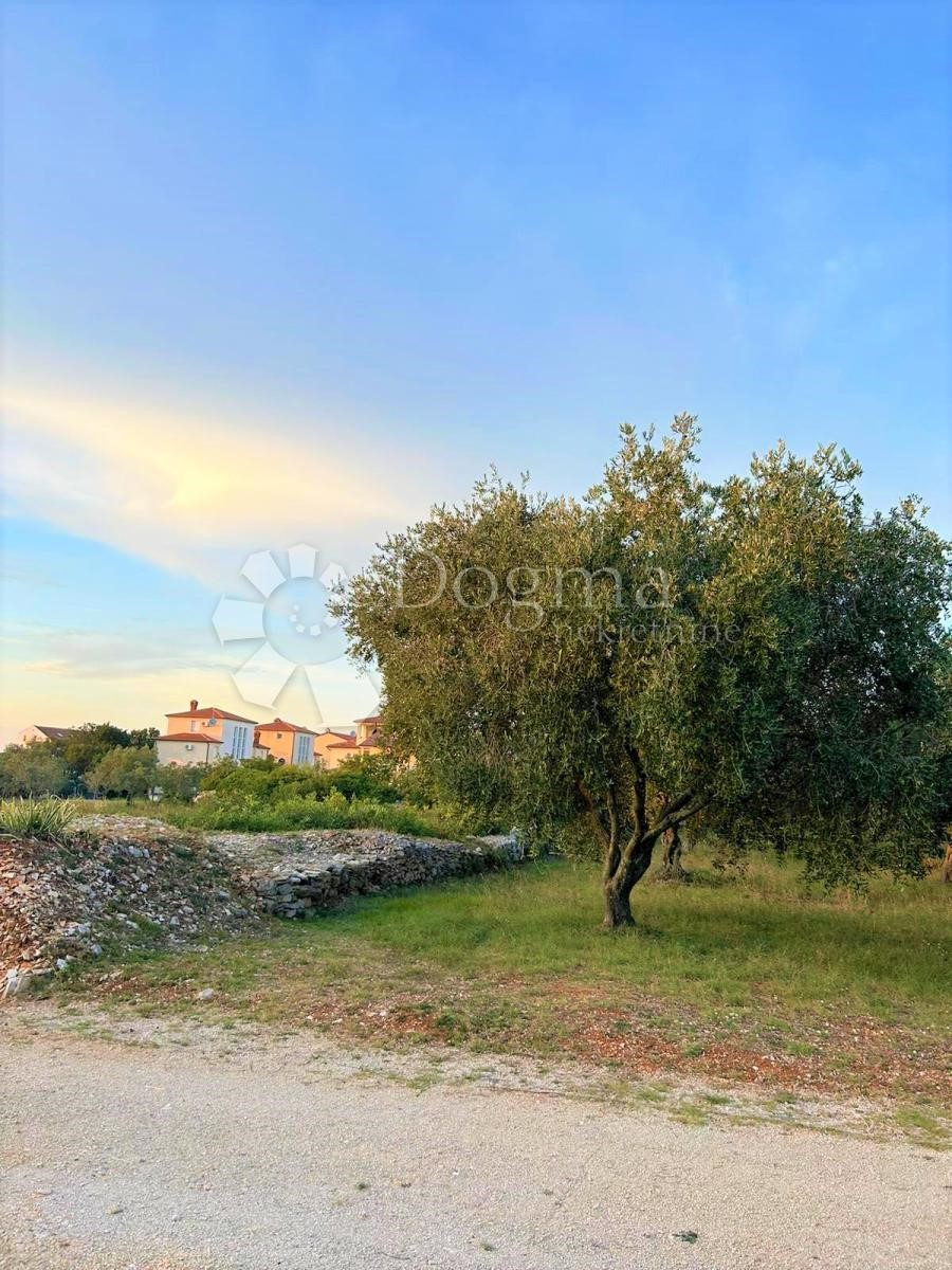 Terreno Peroj, Vodnjan, 2.002m2
