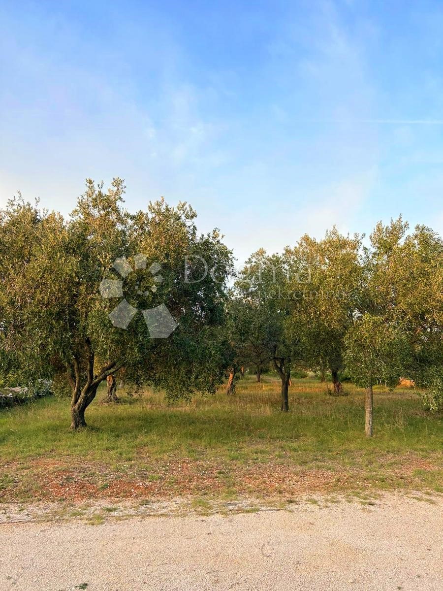 Terreno Peroj, Vodnjan, 2.002m2