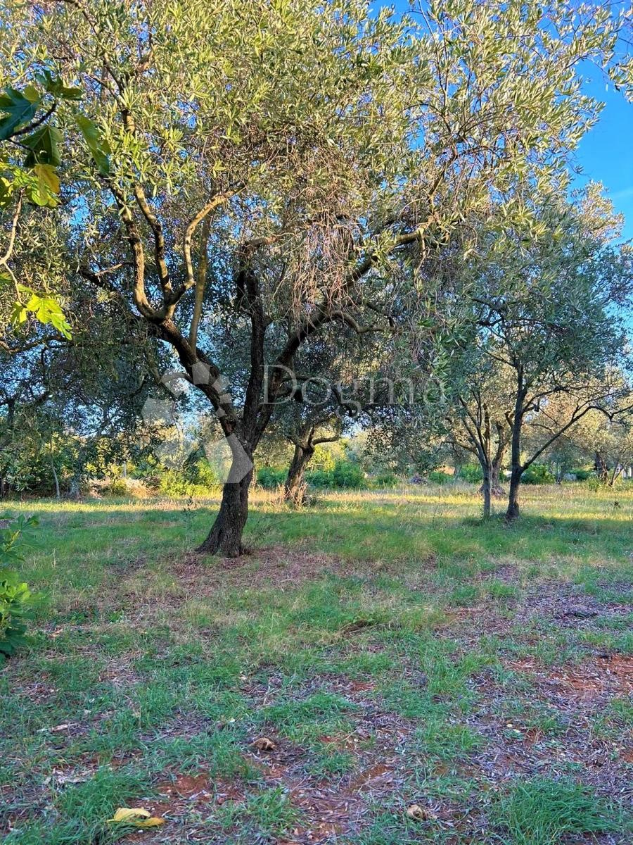 Terreno Peroj, Vodnjan, 2.002m2