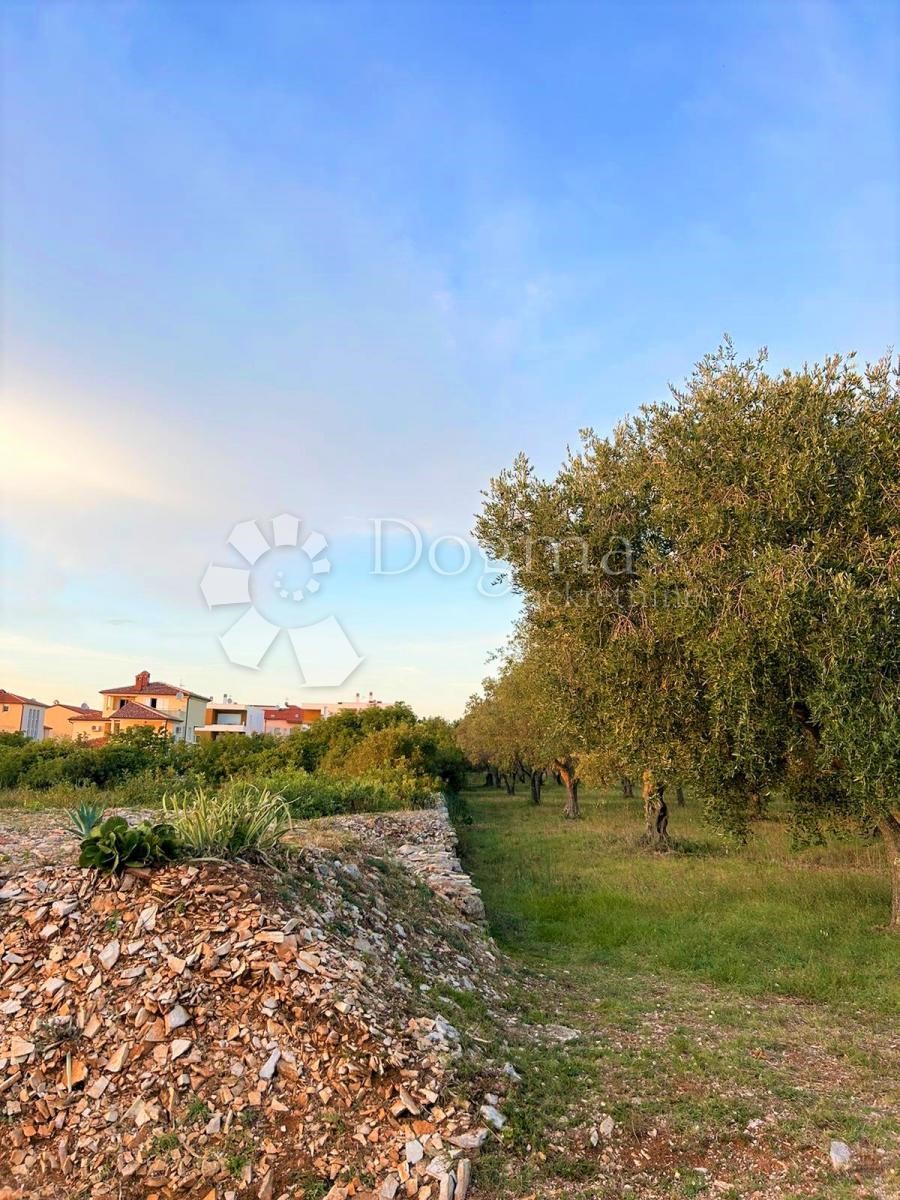 Terreno Peroj, Vodnjan, 2.002m2