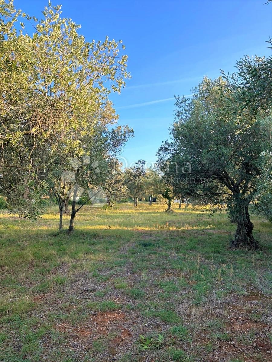 Terreno Peroj, Vodnjan, 2.002m2