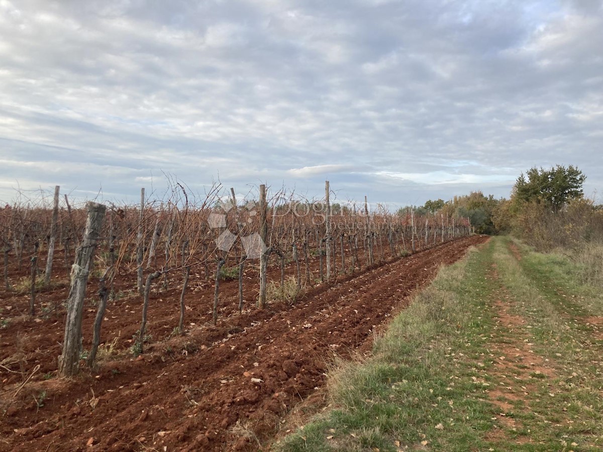 GRANDE PROPRIETA' CON 7.200 M2 DI TERRENO EDIFICABILE