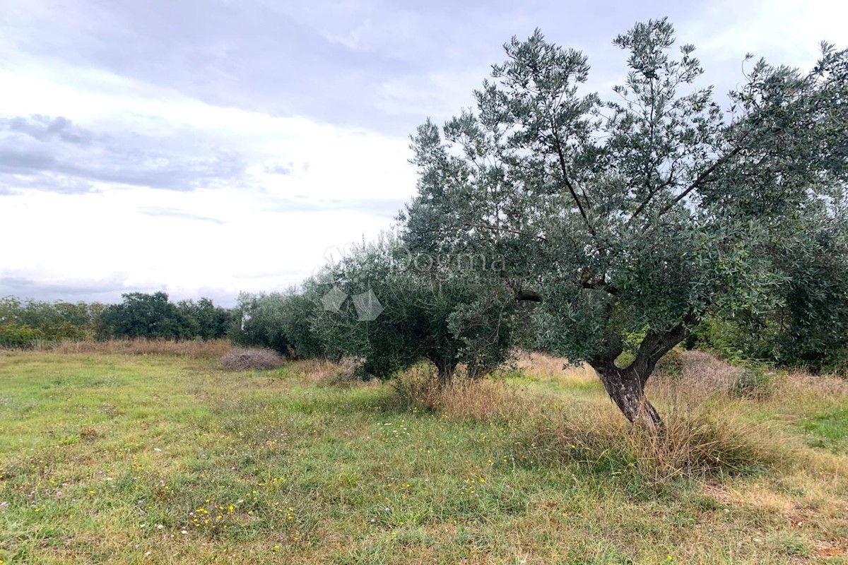 Terreno Štinjan, Pula, 755m2