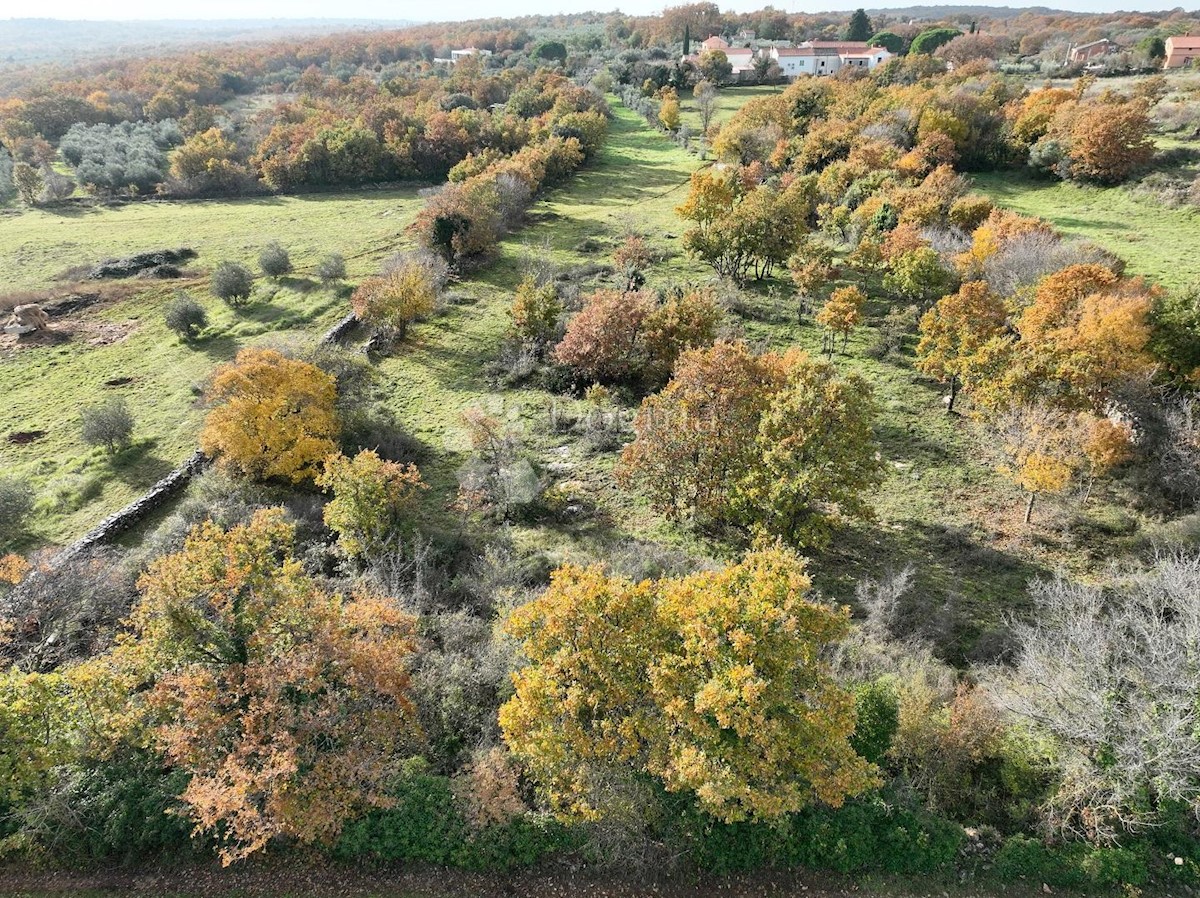 Terreno Marčana, 4.576m2