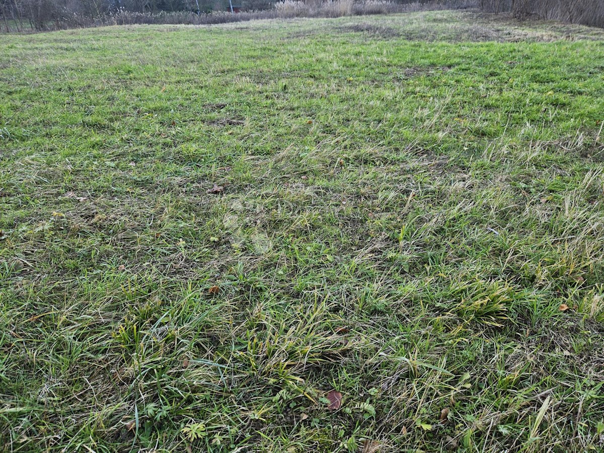 Terreno Boričevec Toplički, Varaždinske Toplice, 17.221m2
