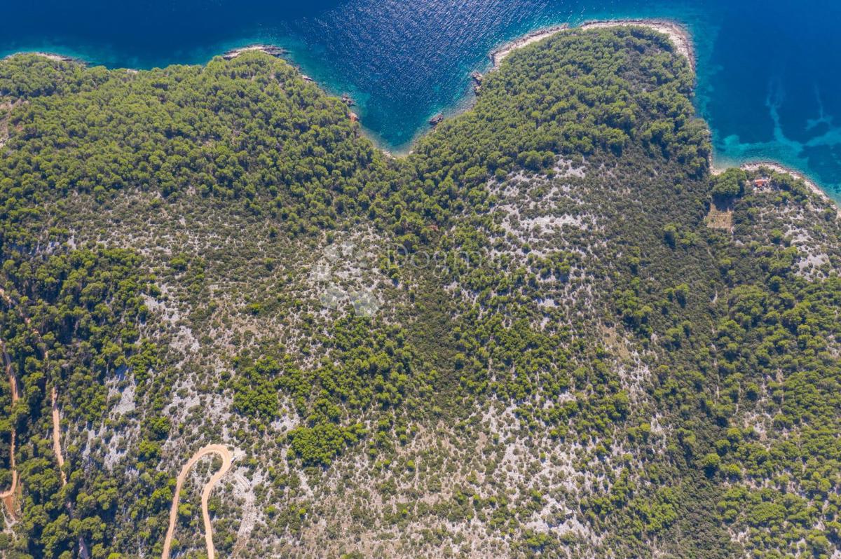 Terreno Zastražišće, Jelsa, 54.550m2