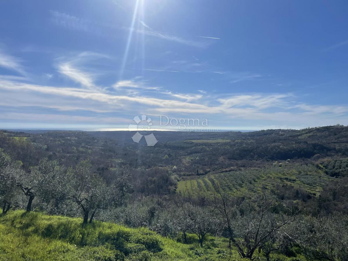 TERRENO CON VISTA PANORAMICA E PROGETTO