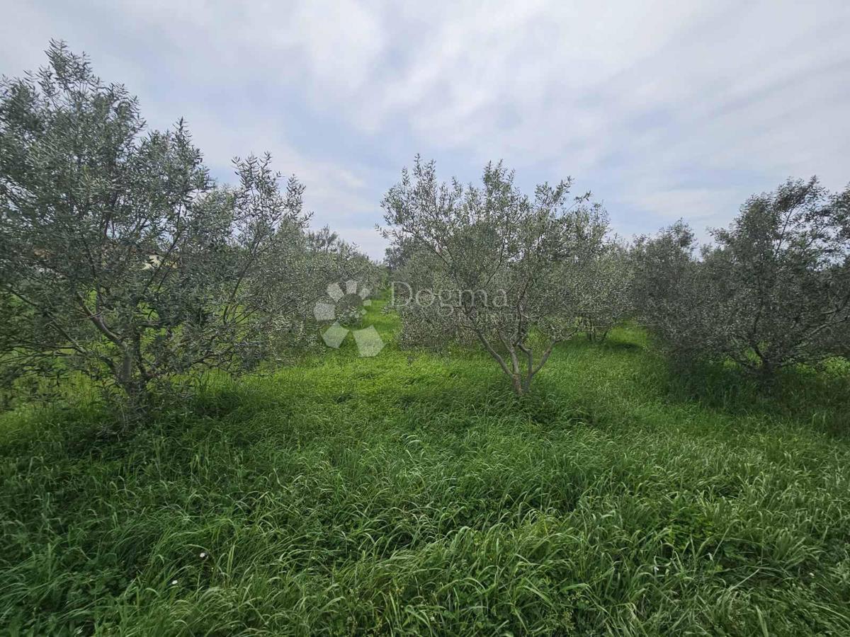 Terreno Loborika, Marčana, 2.800m2