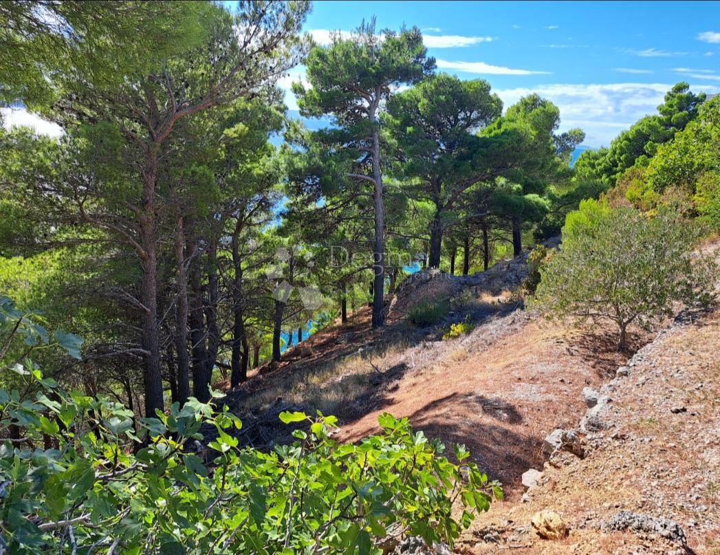 Terreno Marušići, Omiš, 4.100m2