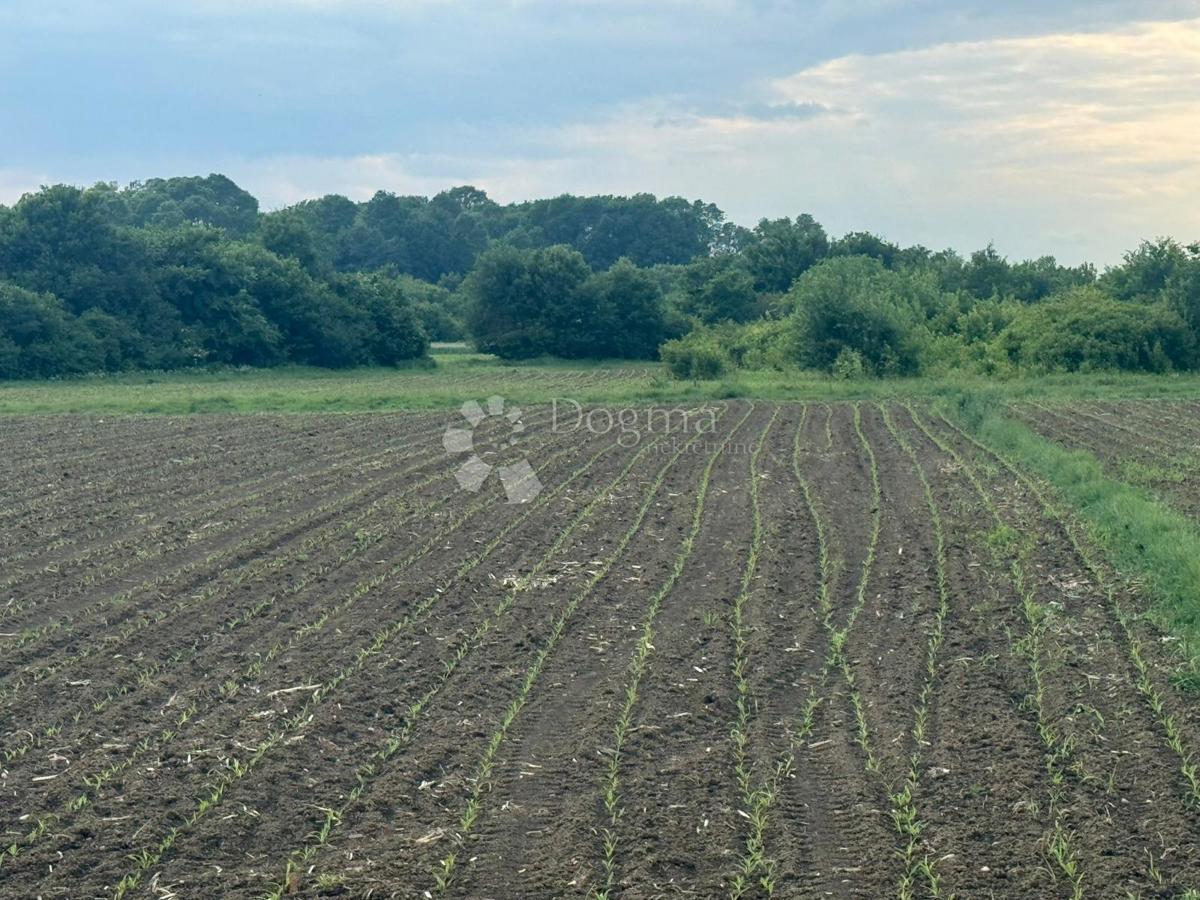 Terreno Ščitarjevo, Velika Gorica - Okolica, 9.263,30m2