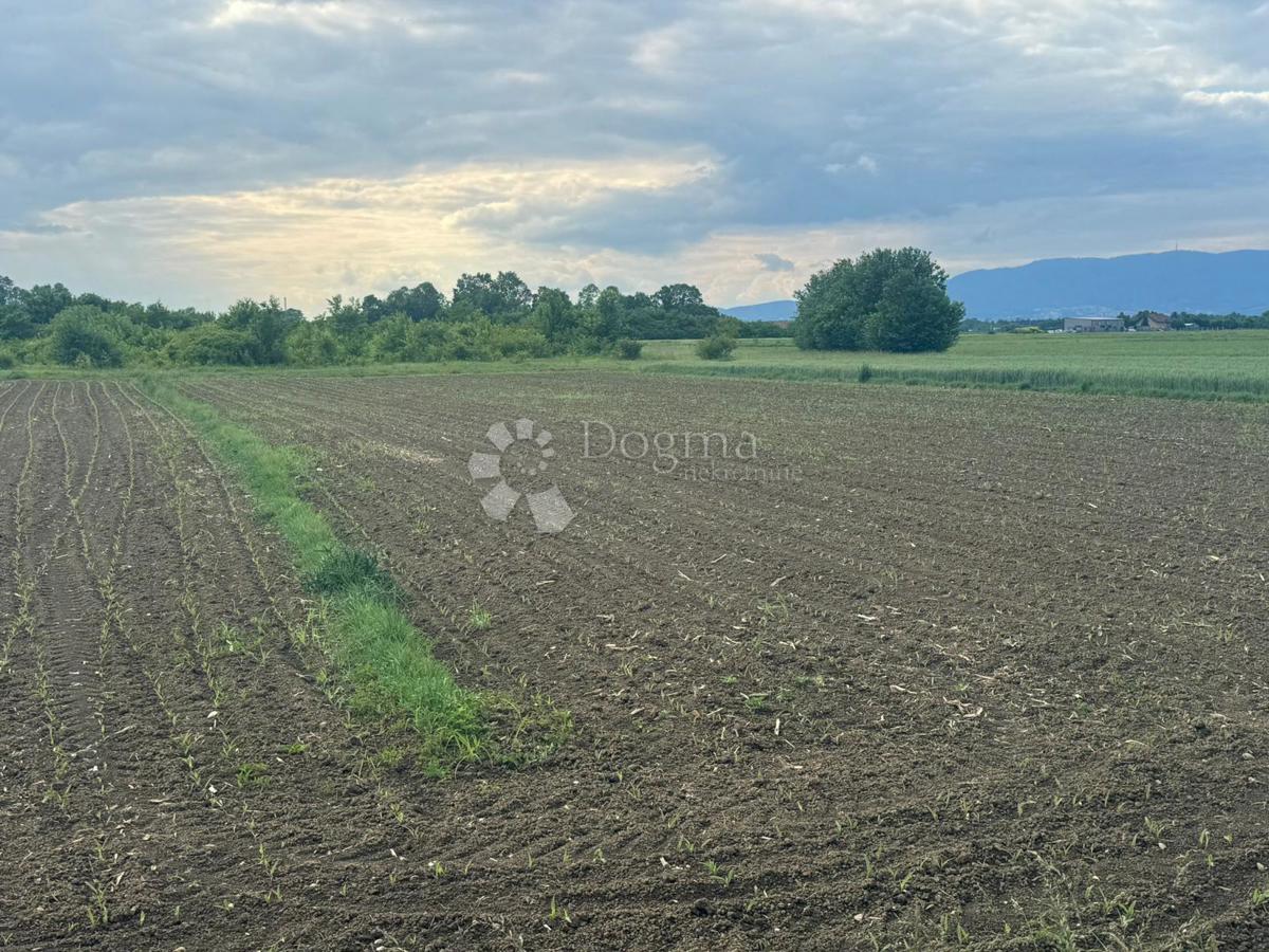 Terreno Ščitarjevo, Velika Gorica - Okolica, 9.263,30m2